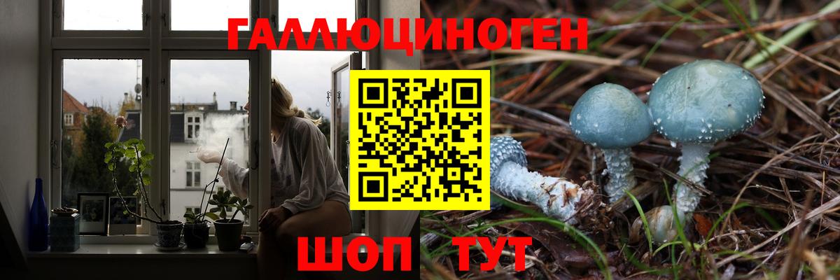 Галлюциногенные грибы Cubensis  Вход с VPN  Новоалтайск  Галлюциногенные грибы Magic Shrooms 